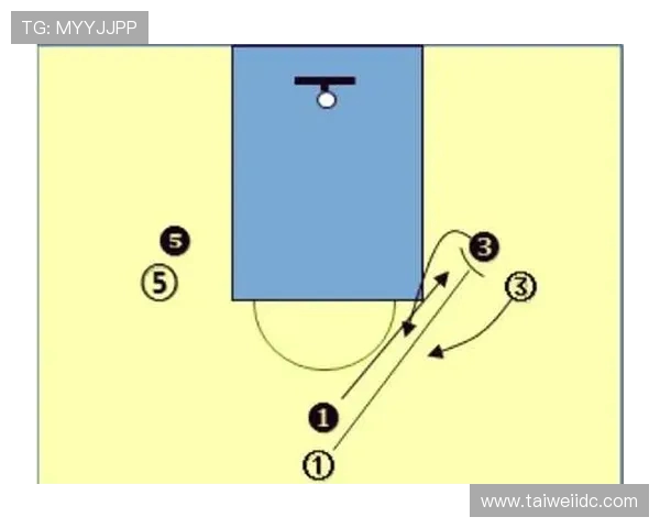 篮球技术与战术深度解析：从基础到进阶的全面提升指南
