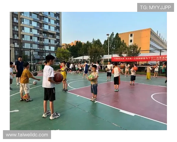 以篮球为纽带探索团队合作与拼搏精神在青年成长中的重要作用 以篮球为纽带探索团队合作与拼搏精神在青年成长中的重要作用