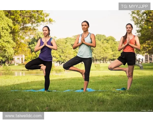提升体能与健康：运动锻炼对现代人生活质量的深远影响与科学分析