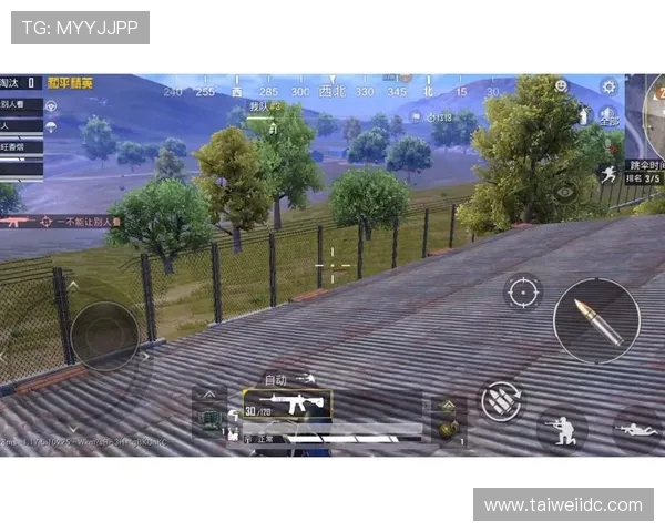 和平精英耐力排行榜揭晓V5荣登第三名引发玩家热议