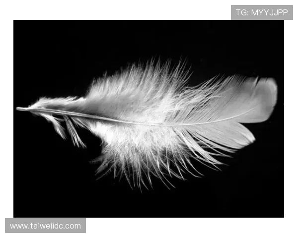 杭州羽毛球队心理素质引发热议球员表现与心理调适的深层探讨