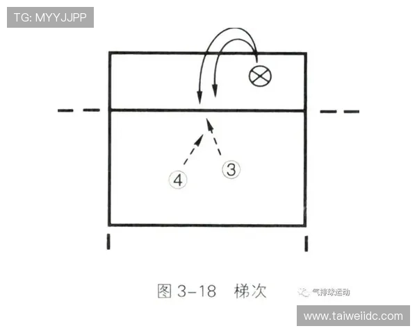 重庆排球队速度对比深度解析与战术影响探讨