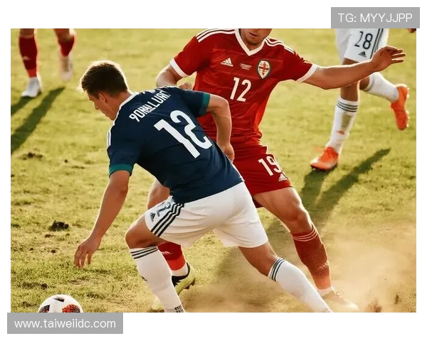 北爱尔兰与荷兰足球赛前瞻及胜负预测分析