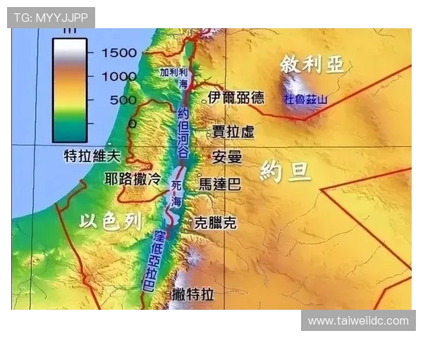 巴勒斯坦与西班牙联合的历史交汇与未来展望分析